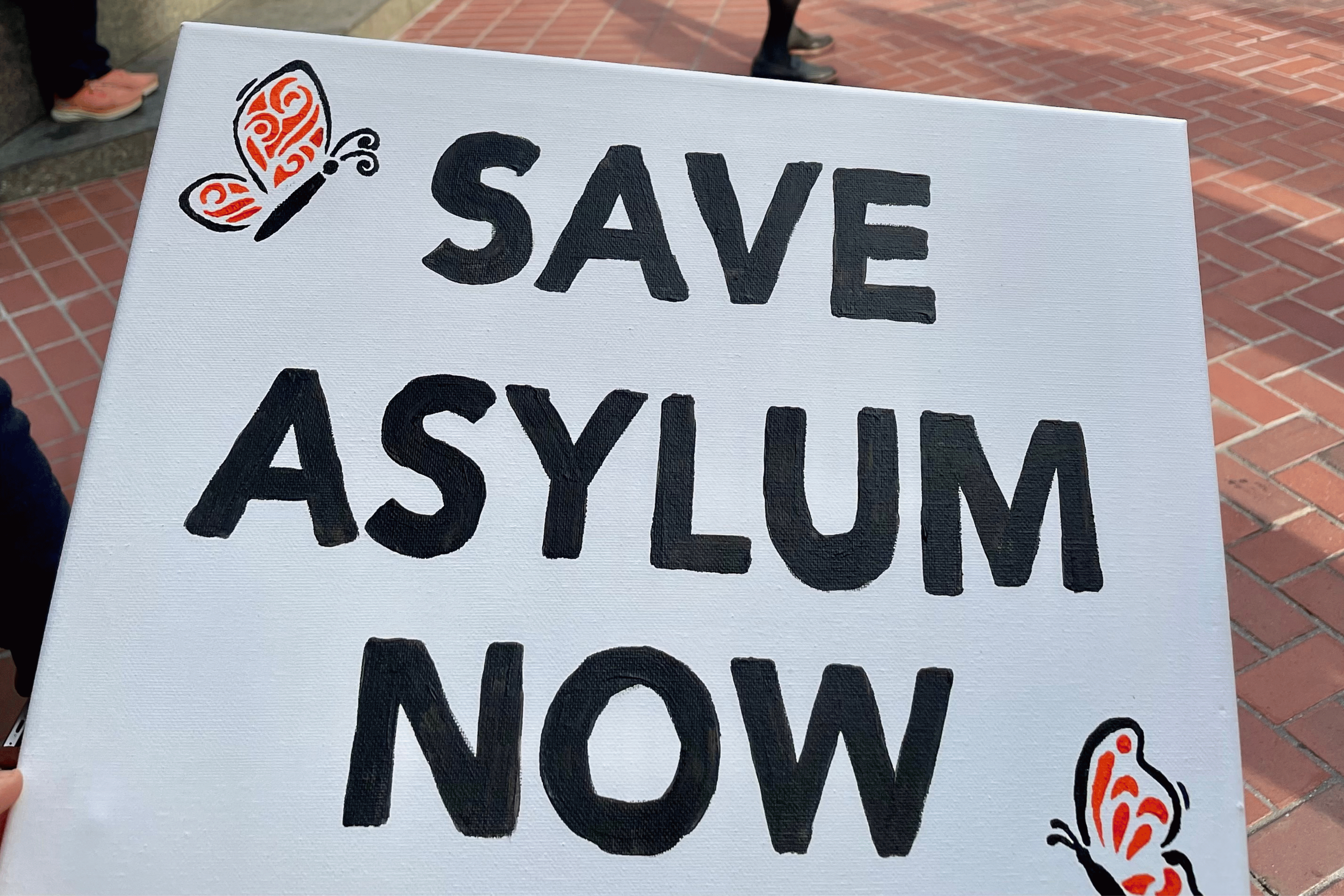 Save Asylum Now protest sign